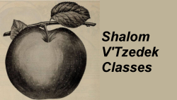 Shalom V'Tzedek Classes
